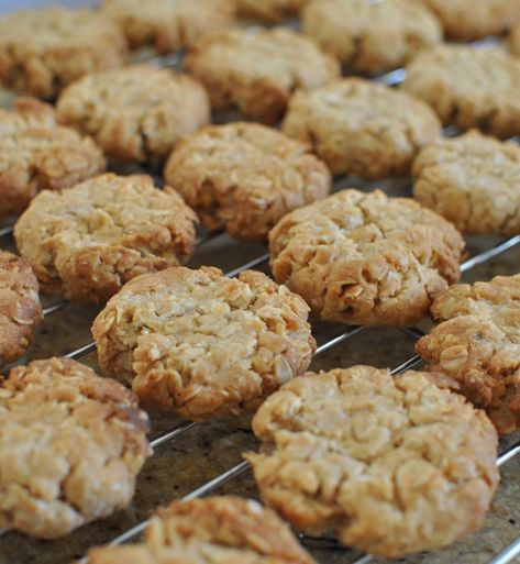 Oat Biscuit Recipe, Healthy Oat Cookies, Honey Oatmeal Cookies, Honey Biscuits, Oat Biscuits, Oatmeal Biscuits, Oat Cookie Recipe, Honey Cookies, Oats And Honey