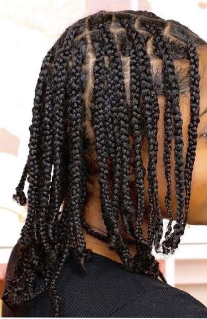 4c Plait Hairstyles, Natural Plaited Hairstyles For Black Women, Mini Braids On 4c Natural Hair, Natural Small Braids, Natural Braids On Black Women, Mini Plaits Hairstyles Black Women, Short Twist Braids Hairstyles Natural, Braided Plaits Hairstyles, Medium Braids Natural Hair