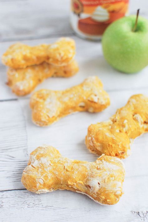 Pumpkin Apple Dog Treats, Apple Dog Treats, Fake Ginger, Dog Biscuit Recipes, Dog Treats Homemade Recipes, Food Dog, Diy Dog Treats, Puppy Treats, Pumpkin Apple