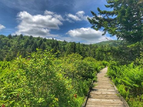 The Famous Family Feud In West Virginia That's Lasted Over 100 Years Cranberry Glades Wv, Monongahela National Forest, West Virginia Travel, West Va, Allegheny Mountains, Almost Heaven West Virginia, Virginia Travel, Travel Wishes, Travel United States