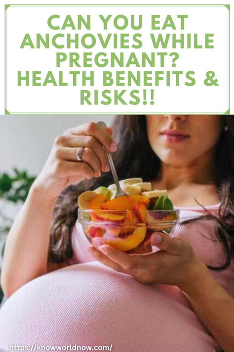 Can You Eat Anchovies While Pregnant? Health Benefits & Risks!!
#Health #Pregnant #Benefits #Healthy #Eat #Anchovies #Healthy Pregnancy Health, Anchovies, Omega 3, Healthy Diet, Health Benefits, Nutrition, Benefits, Diet, Canning