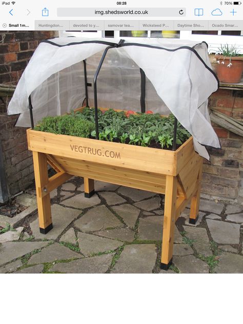 Vegetable trug Veg Trug, Gardening Trends, Small Greenhouse, Colorful Plants, Garden Club, Community Gardening, Veggie Garden, Edible Garden, Chickens Backyard