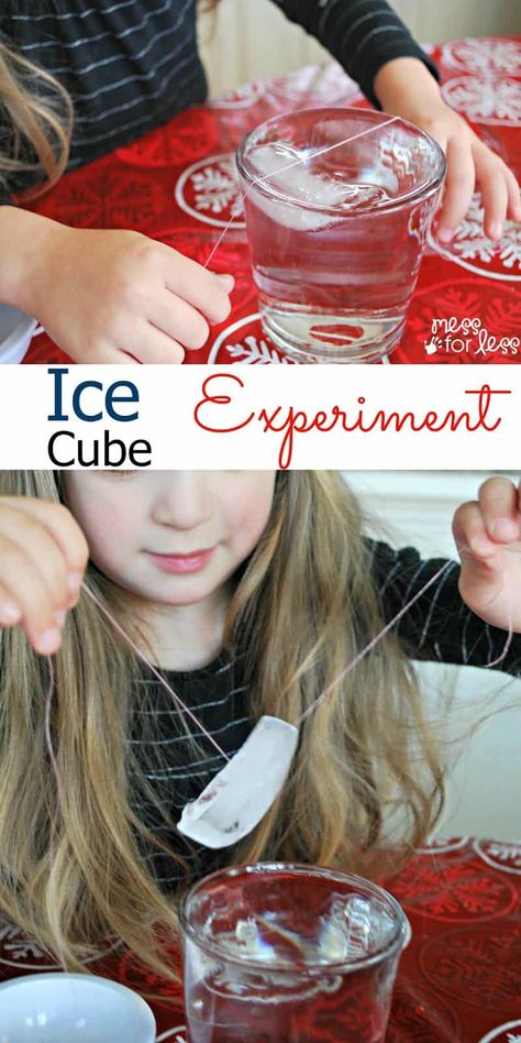 Fun Experiments For Kids, Pre-k Science, Science Experience, Summer Science, Science Experiments For Kids, Simple Science, Experiments Kids, Ap Biology, Chemistry Experiments