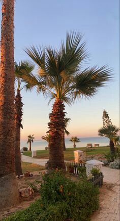 Photo Ete Aesthetic, Tunisia Wallpaper, Tunisia Vacation, Sunrise Aesthetic Wallpaper, Tunisia Aesthetic, Summer Snapchat, Mediterranean Summer Aesthetic, Tunisian Aesthetic, Africa Aesthetic