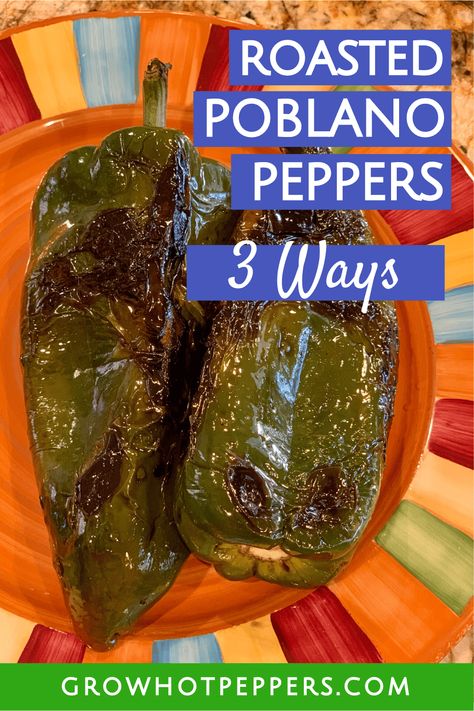 Here are 3 easy ways to roast your Poblano peppers (don't forget to grab your download!). Plus, learn about chile Poblano heat and flavor, get recipe ideas, and discover how to grow these peppers too! Poblano Pepper Salsa, Growing Hot Pepper, Cooking Peppers, Cubanelle Pepper, Poblano Peppers Recipes, Freezing Peppers, Roasted Poblano Peppers, Roasted Poblano, Stuffed Anaheim Peppers