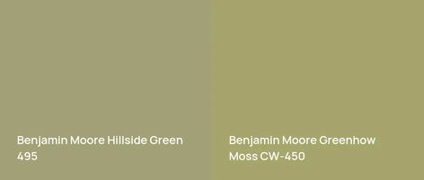 Benjamin Moore Hillside Green, Green Exterior, Green Paint Colors, Green Paint, Benjamin Moore, Paint Color, Real Pictures, Home Interior, Interior Exterior