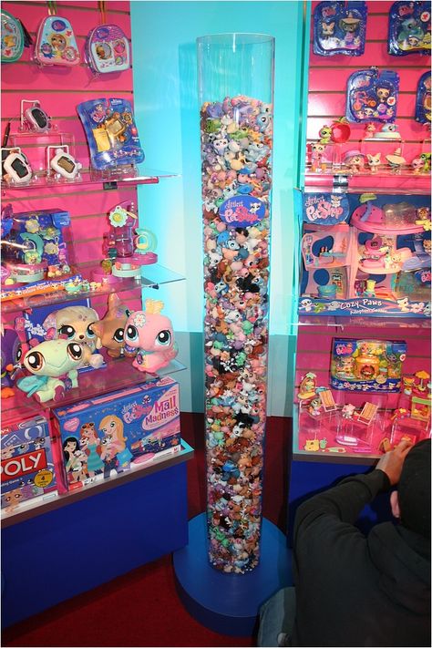 Littlest Pet Shop Show, Custom Lps, 2010s Nostalgia, Littlest Pet Shops, Lps Toys, Lps Pets, Little Pet Shop Toys, Lps Littlest Pet Shop, 2000s Nostalgia