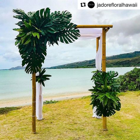 4 Post Bamboo Arch with Palm Leaves and White Draping Bamboo Wedding Arch, Bamboo Arch, Sayulita Wedding, Wedding Alter, Arch Inspiration, Moana Cake, Wedding Alters, Exotic Wedding, Wedding Greenery