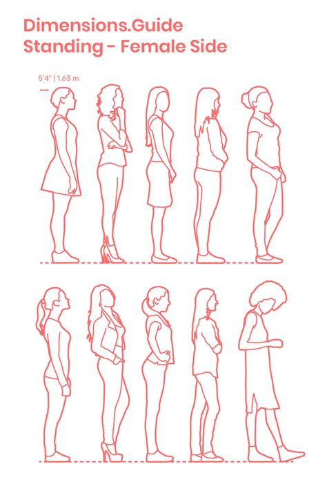 Collection of women standing in side profile with assorted positions and postures. The average height of these casually dressed females is set at 5’4” | 1.63 m. Multiple versions of detailed and outline silhouettes are available. Downloads online #design #humans #people #standing Side Profile Dress Drawing, Side Profile Drawing Standing, People Figures Drawing, Person Standing Sideways Drawing, Side View Standing Pose Drawing, Women Standing Drawing, Two People Standing Back To Back, Standing Woman Drawing, How To Draw Side Profile Bodies