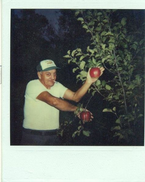 Picking Apples, Polaroid Picture, App Background, Vintage Polaroid, Polaroid Pictures, Polaroid Photos, Film Inspiration, Retro Photo, Color Photo