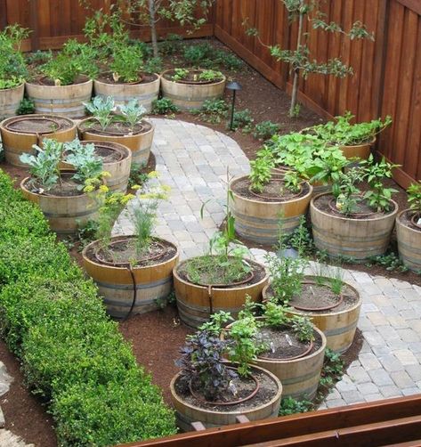 Barrel Garden Ideas, Barrel Garden Planters, Wine Barrel Garden, Paver Path, Wine Barrel Planter, Barrel Planter, Wine Barrels, Veg Garden, Landscaping Supplies