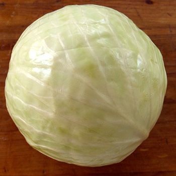 White Cabbage is used as a standard everyday cabbage in North America, though really, it was developed for sauerkraut -- learn more... White Cabbage, Chocolate Trifle, Cabbages, Pale Green, Dark Green, North America, White