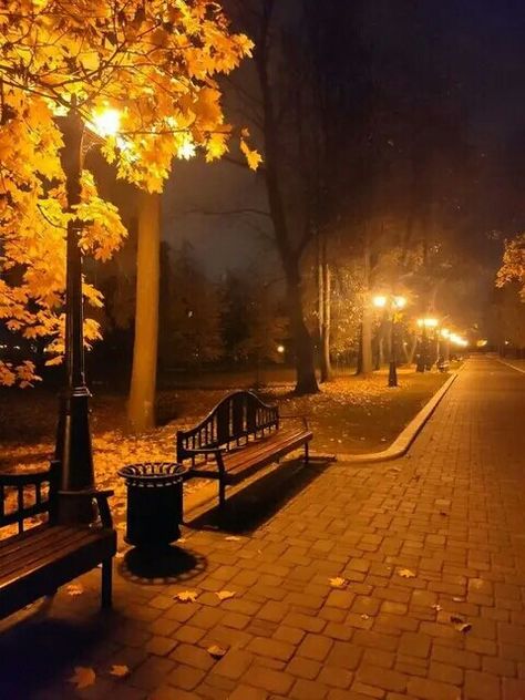 Halloween Street, Autumn In New York, Autumn Magic, Autumn Park, Autumn Lights, Night Scenery, Night Landscape, Autumn Night, Autumn Scenery