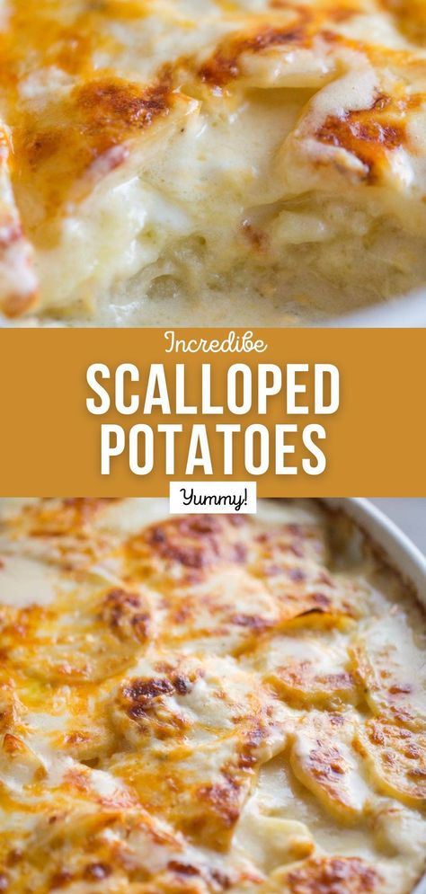 Warm, creamy, cheesy and oh so comforting, these Scalloped Potatoes really are the best! Recipe For Scalloped Potatoes, Creamy Cheesy Potatoes, Creamy Scalloped Potatoes, Scalloped Potatoes Easy, Scalloped Potatoes Recipe, Cheesy Scalloped Potatoes, Scalloped Potatoes And Ham, Scalloped Potatoes Cheesy, Cheesy Potato