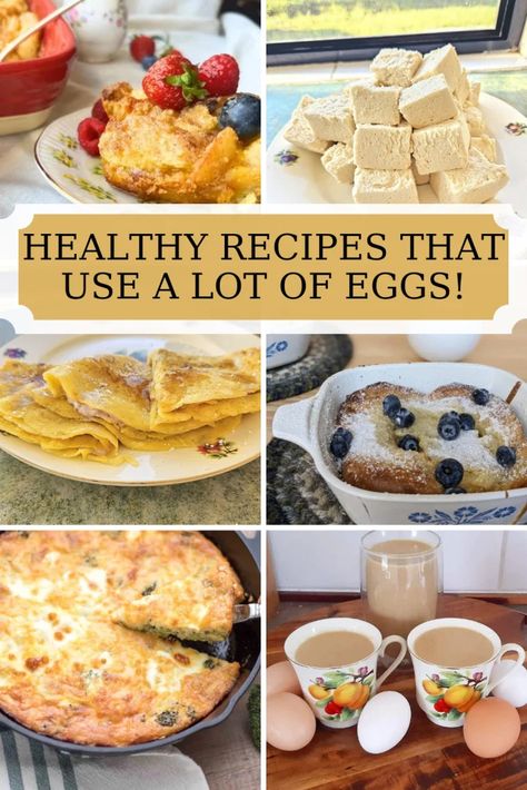 Recipes That Use A Lot Of Eggs (Plus Sneaky Ways To Use More Eggs) - The homey lif3 Lots Of Eggs To Use, Recipes For Lots Of Eggs, What To Do With Too Many Eggs, Using Up Eggs, Recipes Using A Lot Of Eggs, Recipe That Uses Lots Of Eggs, Use Up Eggs Recipes, Recipes That Use Eggs, Recipes With A Lot Of Eggs