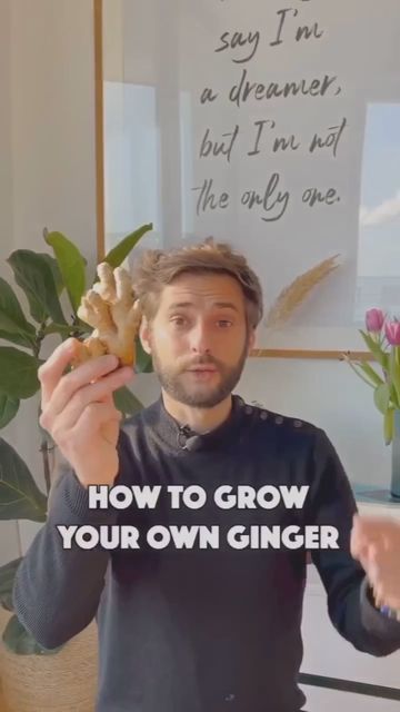 Growing Ginger Indoors, Home Gardening Ideas, Ginger Rhizome, Growing Vegetables In Pots, Growing Ginger, Ginger Plant, Small Vegetable Gardens, Plant Care Houseplant, Vegetable Garden Diy