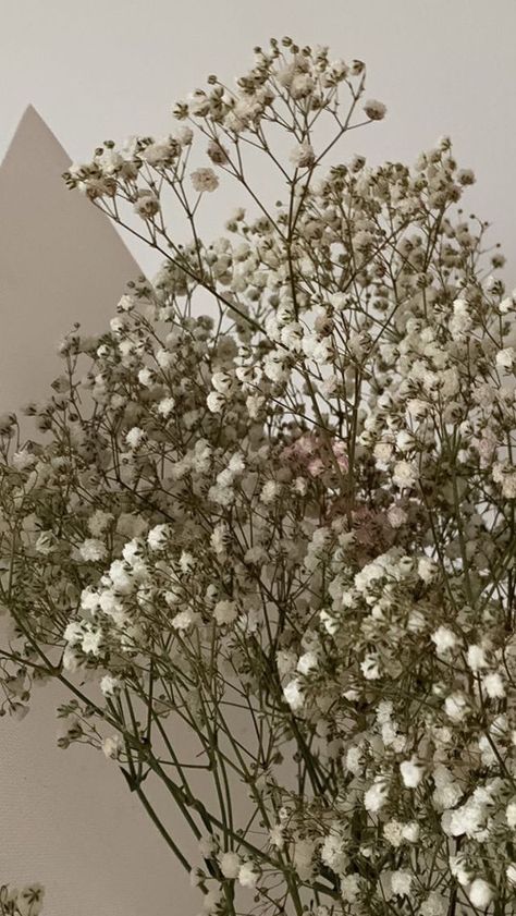 Fairy Wallpaper Aesthetic, Babys Breath Aesthetic, 2022 Wallpaper, Flower Road, Handmade Bookmarks Diy, Sage Green Wallpaper, Wallpaper Instagram, Fairy Wallpaper, Nothing But Flowers