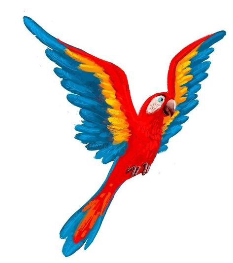 Drawing Feathers, Burung Kakatua, Flying Illustration, Seed Logo, Amazon Animals, Parrot Flying, Parrot Drawing, Fly Drawing, Animals Cake