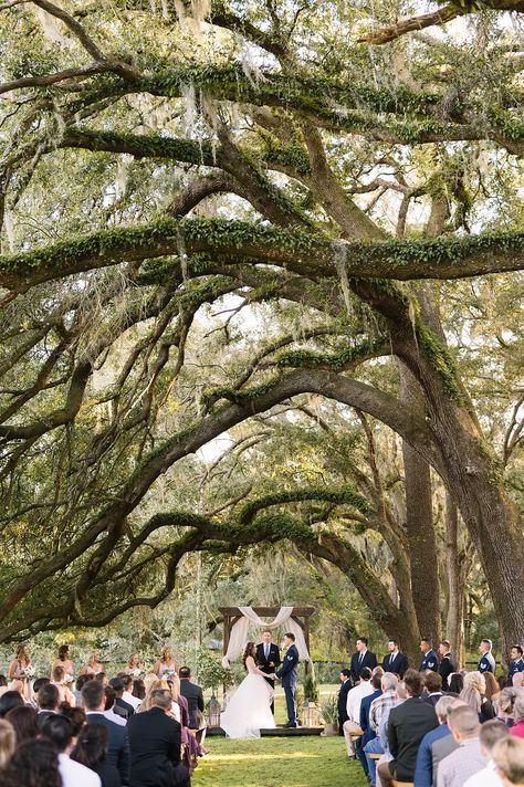 Ocala Fl wedding. Ocala wedding venues. Ocala outdoor wedding. Central florida wedding. Mossy oak trees. Ocala wedding photographers. Ocala farm wedding. Mossy Oak Tree Wedding, Florida Forest Wedding, Outdoor Wedding Florida, Outdoor Florida Wedding, Central Florida Wedding Venues, Farm Wedding Aesthetic, Everglades Wedding, Mossy Wedding, Fl Wedding Venues