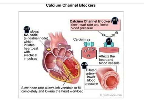 Calcium channel blockers Nutrition Nursing, Paramedic School, Calcium Channel Blockers, Nursing Information, Medication List, Beta Blockers, Nursing Mnemonics, Cardiac Nursing, Pharmacology Nursing