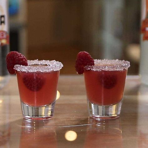 Fruity Shots Alcohol, Raspberry Lemon Drop, Tipsy Bartender Recipes, Fruity Shots, Shots Alcohol Recipes, Lemon Drop Shots, Lemon Shots, Bartender Drinks Recipes, Raspberry Puree