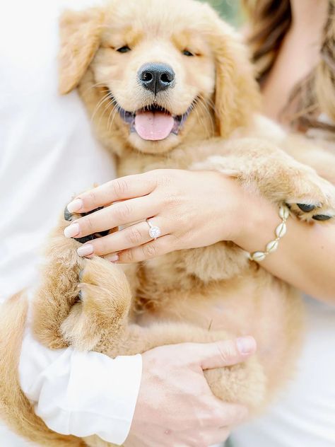 Pet Engagement Pictures, Proposal With Puppy, Puppy Engagement Pictures, Engagement Photos With Puppy, Valentines Engagement Photos, Dog Wedding Pictures, Engagement Pictures With Dog, Puppy Proposal, Ocean City New Jersey