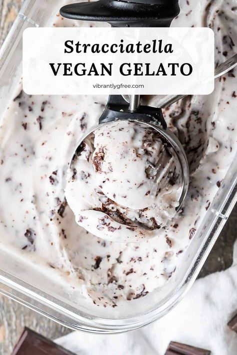 Vegan Frozen Custard, Dairy Free Gelato Recipe, Vegan Gelato Recipe, Dairy Free Ice Cream Recipe, Coconut Milk Ice Cream Recipe, Dairy Free Gelato, Vegan Gelato, Recipes Treats, Vegan Sorbet