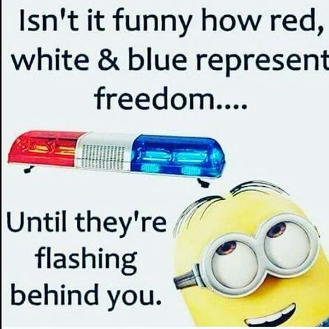 Funny Quotes About Friends, Funny Minions Quotes, Quotes About Friends, Funny Photographer, Best Funny Quotes, Diet Funny, Minion Memes, Dating Funny, Funny School Pictures