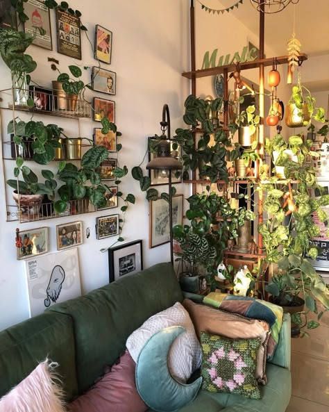 Plant Witch Aesthetic Room, Top Of Kitchen Cabinet Decor Vases, Fairy Grunge Living Room, Bloomcore Interior, Goblincore Living Room Aesthetic, Nature Living Room Aesthetic, Fairy Grunge Apartment, Small Apartment Decorating Cottagecore, Hoya Display Ideas