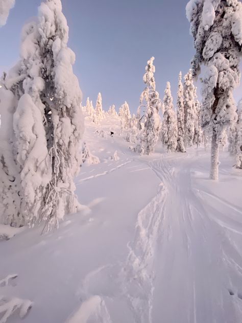 Lapland Finland Aesthetic, Lapland Aesthetic, Finland Holiday, Finland Aesthetic, Winter Photography Nature, Finland Winter, Finland Lapland, Skiing Aesthetic, Finnish Lapland