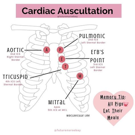 Auscultation Points, Cardiac Nursing Cheat Sheets, Cardiac Assessment, Nursing School Organization, Nursing Cheat Sheet, Paramedic School, How To Remember, Nursing Cheat, Nursing School Motivation