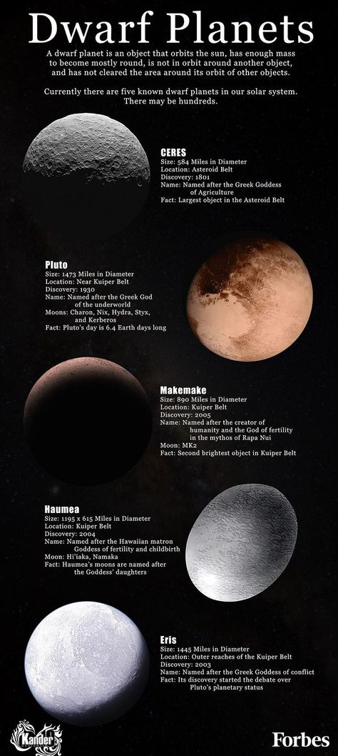 Facts On The Five Known Dwarf Planets [Infographic] Solar System Information, Outer Space Facts, Solar System Facts, Planet Pictures, Pluto Planet, Solar System Model, Astronomy Facts, Astronomy Science, Space Facts