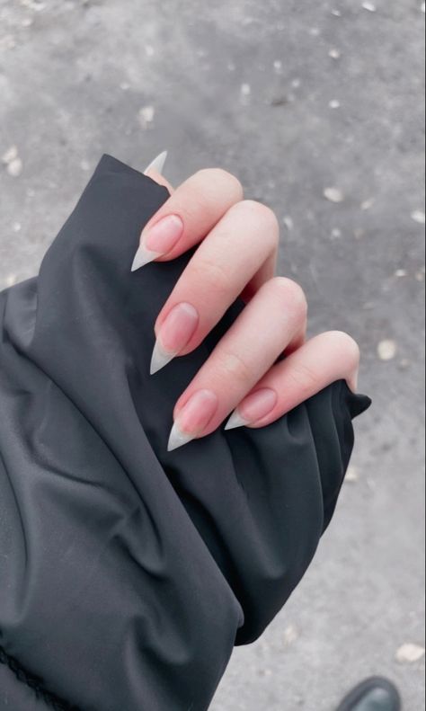 Natural Nails Aesthetic, Kitty Claws Nails, Cat Claw Nails, Claws Nails, Nail Growth Tips, Long Natural Nails, Sharp Nails, How To Grow Nails, Pointed Nails