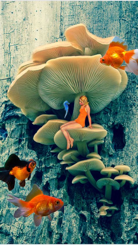 Making new friends. #lovistoshuffles #underwater #fantasyaesthetic #fantasyworld #fairycore #goldfish #mushrooms #sealife Underwater Mushrooms, Sea Mushroom, Tattoos Inspo, Making New Friends, Fairy Aesthetic, Fantasy Aesthetic, Sealife, Make New Friends, Design Collection