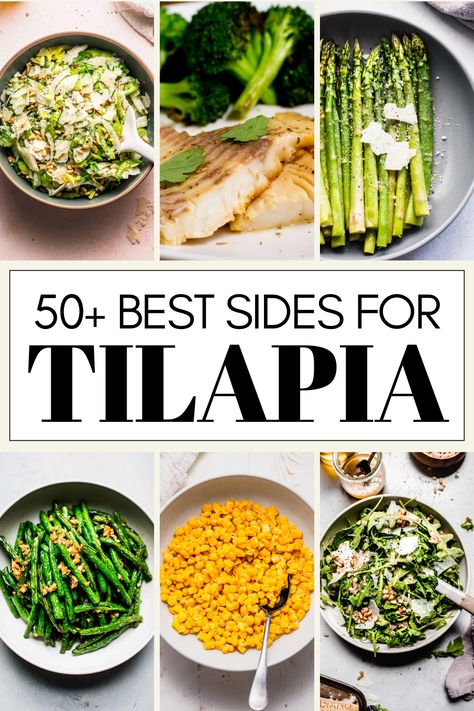 Wondering what the best side dishes for tilapia are? I've got you covered with this handy guide of tasty sides. From salads, to veggies, starches and more! Sides For Tilapia Dishes, Sides For Tilapia, Side Dishes For Tilapia, Tilapia Sides, Tilapia Side Dishes, Tilapia Sauce, Chardonnay Food Pairing, Tilapia Dishes, Garlic Rice Recipes