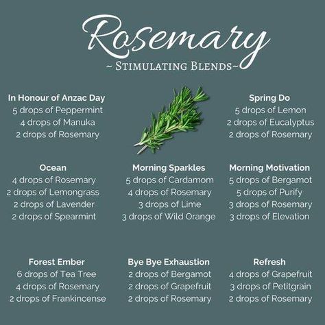 Rosemary Essential Oil Blends, March Diffuser Blends, Rosemary Diffuser Blends, Doterra Diffuser Blends, Essential Oil Combinations, Essential Oil Diffuser Blends Recipes, Essential Oils Guide, Essential Oil Diffuser Recipes, Oil Diffuser Recipes