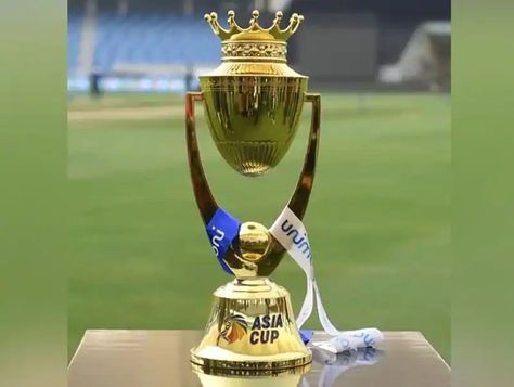 History Of Cricket, Country Report, Sports Merchandise, Cricket Score, Winners And Losers, Asia Cup, Cricket World Cup, Cricket News, Sri Lanka