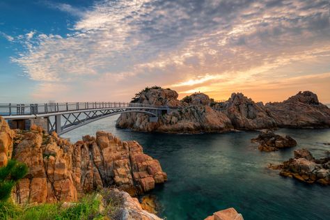 15 Best Things to Do in Ulsan (South Korea) Ulsan South Korea, Korea Life, Whale Watching Cruise, Korea Trip, Teach Abroad, South Korea Seoul, South Korea Travel, Travel Japan, Travel Log