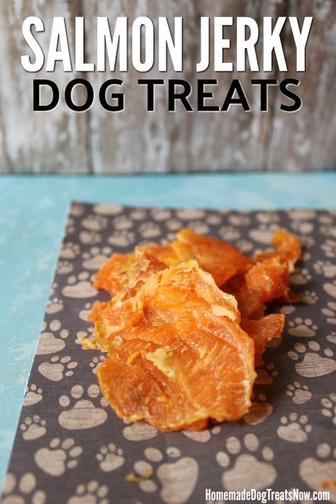 Allergy Free Dog Treat Recipes, Salmon Treats For Dogs, Dehydrated Salmon For Dogs, Homemade Dog Treats For Dogs With Allergies, Salmon Dog Treats Homemade, Dog Jerky Recipes, Dehydrated Dog Treats Recipes, Grain Free Dog Treat Recipes, Salmon Jerky Recipe