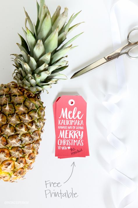 We're channeling the spirit of Hawaii today, with a pineapple gift idea for neighbors and friends that is both easy and adorable. Pineapple Christmas Gift, Mele Kalikimaka Party, Christmas Pineapple, Free Christmas Tags, Neighbor Gift Ideas, Christmas With The Kranks, Pineapple Christmas, Pineapple Gifts, Christmas Neighbor