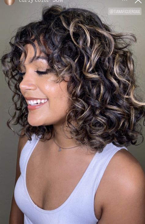 Mesh Highlights For Curly Hair, Cool Tone Highlights Curly Hair, Highlighted Hair Ideas, Partial Highlights Black Women Curly Hair, Curly Hair Low Lights Dark Brown, Curly Partial Highlights, Short Curly Highlights, Short Curly Hair Dye Ideas, Carmel Highlights On Brown Hair Curly 3a