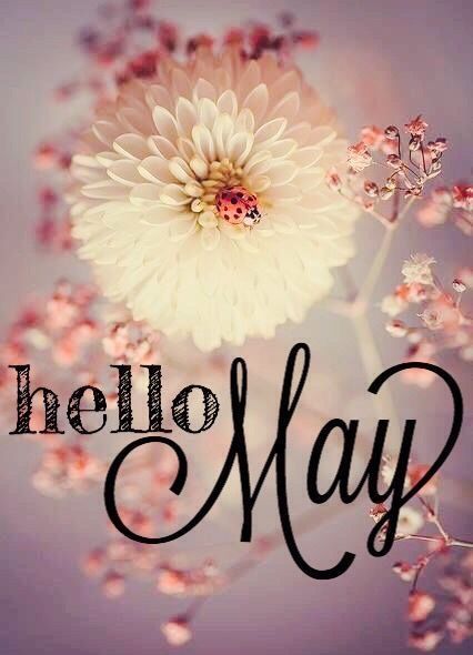 Hello Mai, Birthday Greetings For Facebook, Neuer Monat, New Month Quotes, Its My Birthday Month, Seasons Months, Days And Months, Happy May, Hello May