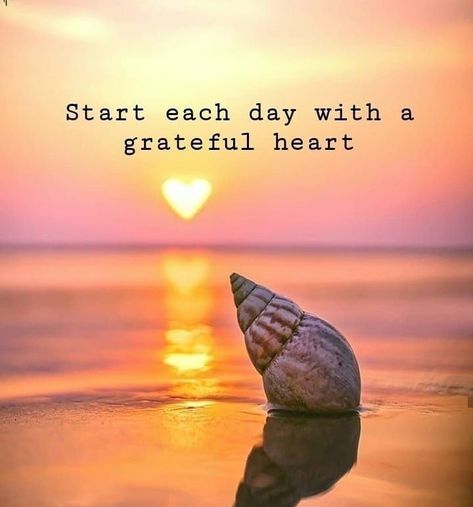 New Day Quotes, Good Morning Smiley, Perfect Quotes, Monday (quotes), Happy Day Quotes, Good Morning Greeting Cards, Absence Quotes, Completion Quotes, Quotes Philosophical