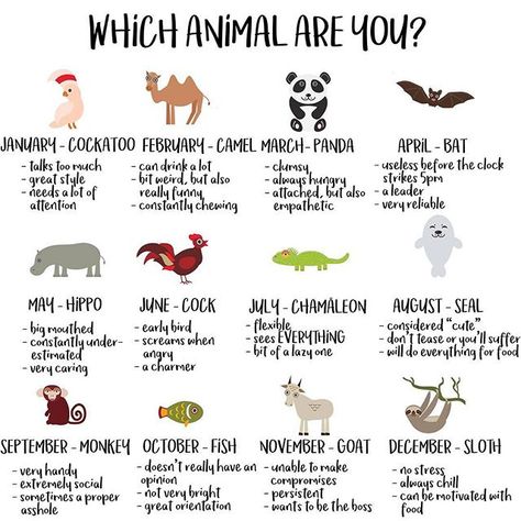 What Animal Are You, Celtic Zodiac, Talk Too Much, Meditation Apps, Meditation Art, Always Hungry, Silly Dogs, Mom Tattoos, Black Tattoos