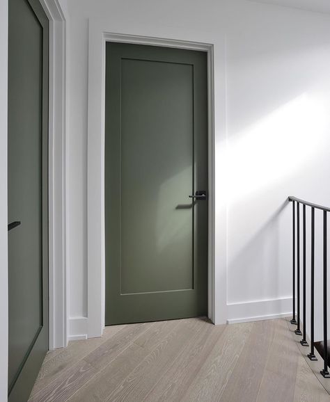 Light Green Doors Interior, Green Internal Doors, Green Doors Interior, Green Interior Doors, Interior Door Color, Green Doors, Front Door Design Wood, Door Inspiration, Interior Design Elements