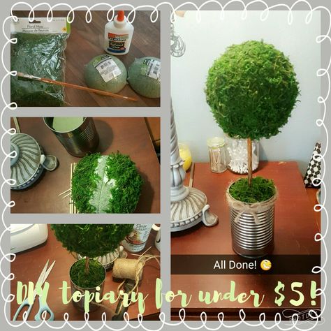 Topiary Aesthetic, Gardens Decor, Diy Topiary, Topiary Diy, Quinceanera Planning, Topiary Plants, Easter Craft Decorations, Golf Shop, Topiaries