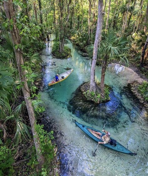 Surreal Places, Taman Air, Florida Adventures, Places In Florida, Destin Florida, Canoes, Sedona Arizona, Dream Travel Destinations, Tampa Florida