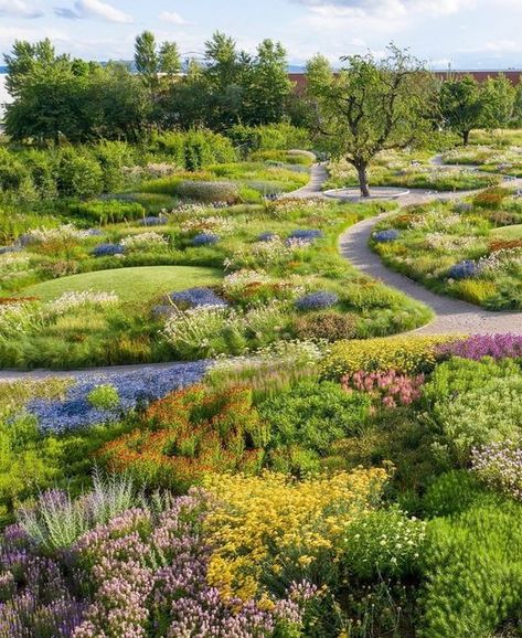 Campus Landscape Design, Vitra Museum, Piet Oudolf, Natural Landscaping, Small Courtyard Gardens, Prairie Garden, Sustainable Landscaping, Landscaping Inspiration, Meadow Garden