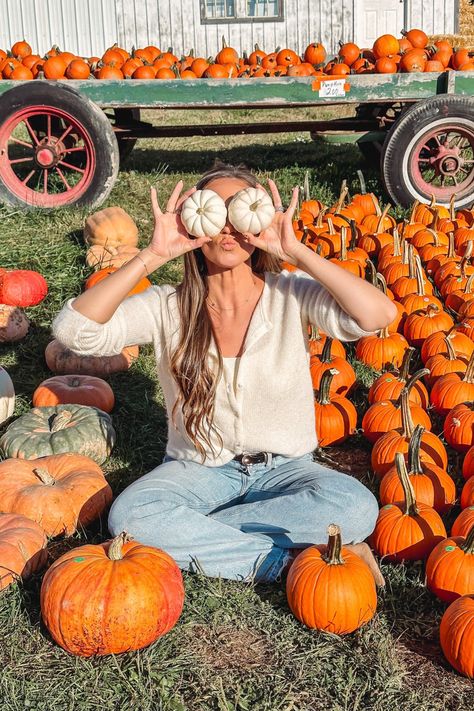 Pumpkin Field Photoshoot, Family Pumpkin Patch Photoshoot, Family Pumpkin Patch Pictures Outfits, Pumpkin Patch Photoshoot Friends, Pumpkin Picking Pictures, Pumpkin Patch Photoshoot Family, Pumpkin Patch Picture Ideas, Pumpkin Patch Family Photos, Pumpkin Patch Photo Ideas