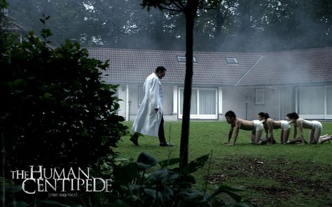 The Human Centipede A Serbian Film, The Human Centipede, Human Centipede, Best Halloween Movies, Requiem For A Dream, Best Horror Movies, Worst Movies, Infographic Marketing, Halloween Movies